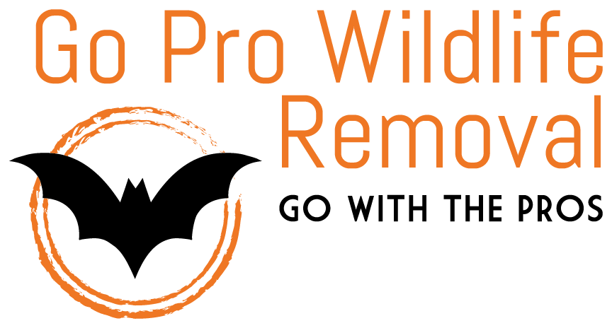 Go Pro Wildlife Removal Logo