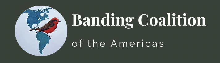 Banding Coalition of the Americas logo